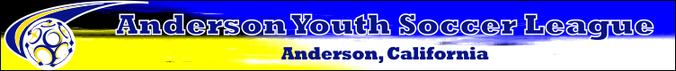 Anderson Youth Soccer League760 x 81