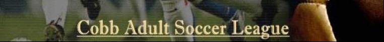Cobb Adult Soccer League/ MAYS banner