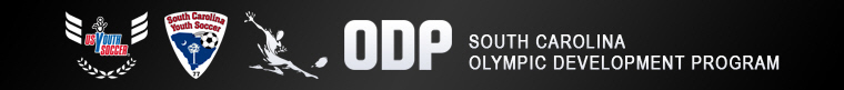 ODP banner