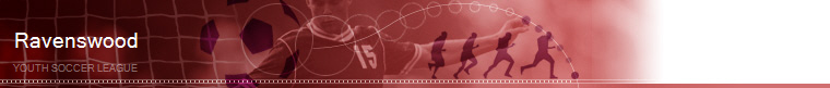 Z_RAVENSWOOD YSL banner