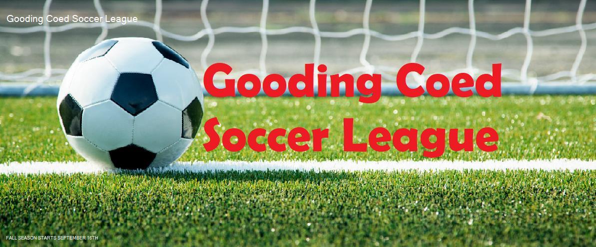 Gooding Coed Adult League - 01 banner